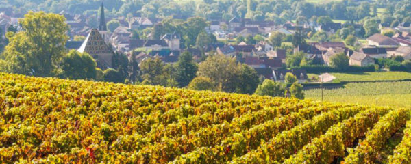 Tourisme Vignoble