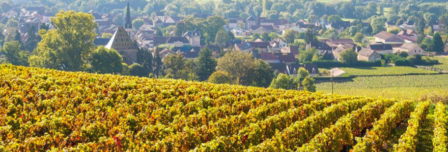 Tourisme Vignoble